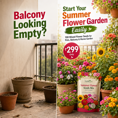 Premium Summer Flower Seeds Mix – 100 Seeds for Home Garden, Balcony & Terrace