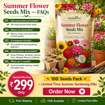 Premium Summer Flower Seeds Mix – 100 Seeds for Home Garden, Balcony & Terrace