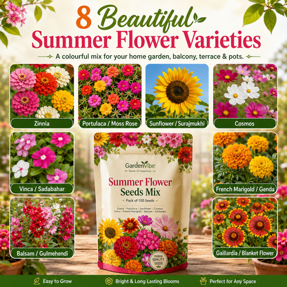 Premium Summer Flower Seeds Mix – 100 Seeds for Home Garden, Balcony & Terrace