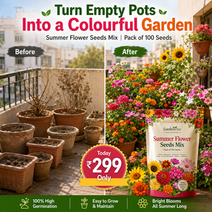 Premium Summer Flower Seeds Mix – 100 Seeds for Home Garden, Balcony & Terrace